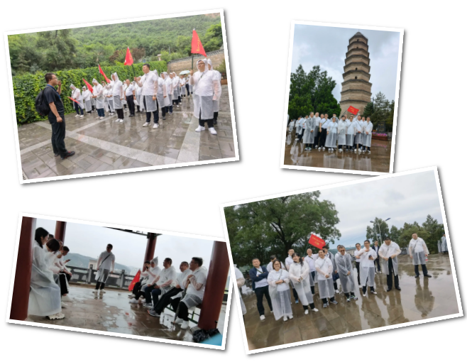 1626231879861476.png image.png